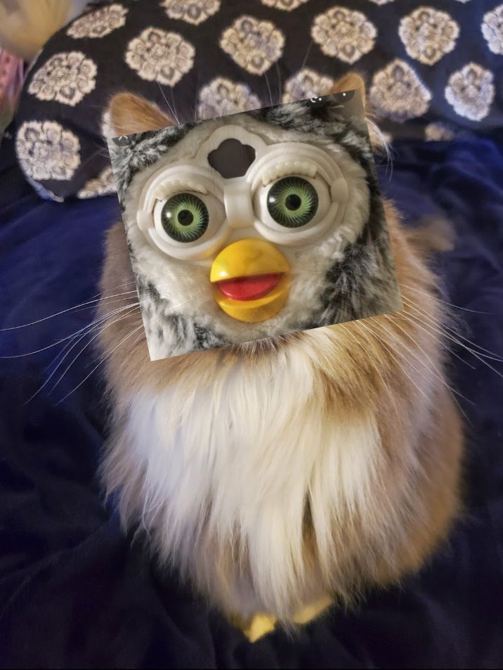 Unk