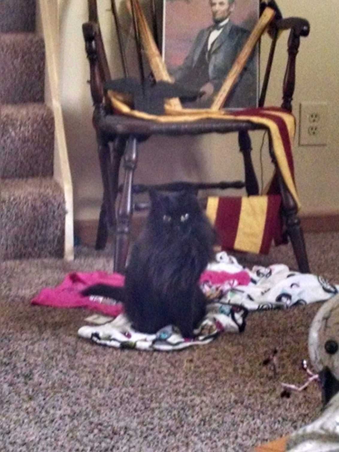 The Fortune Teller Poses