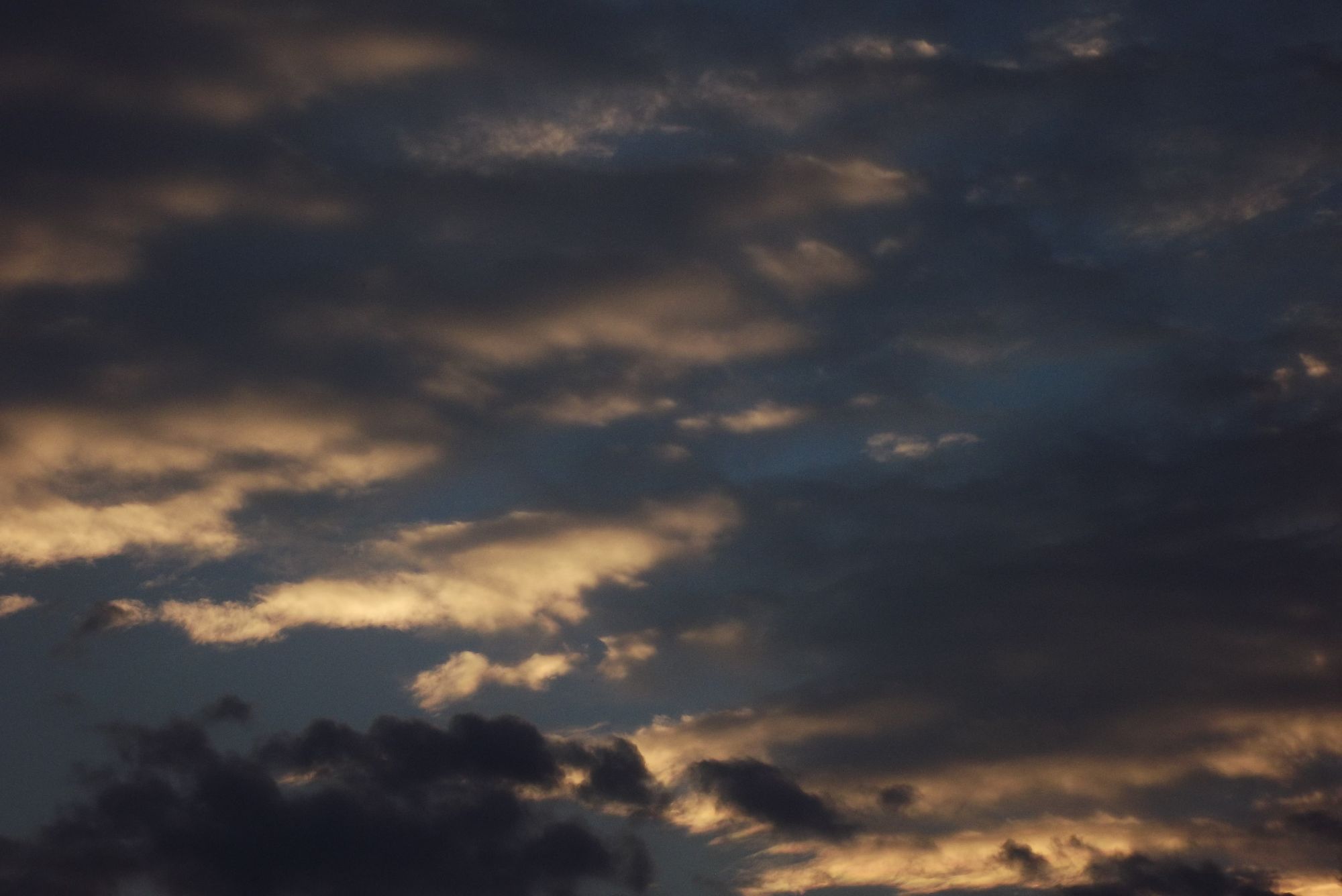 dark clouds over a deserted forest - Start Image 1