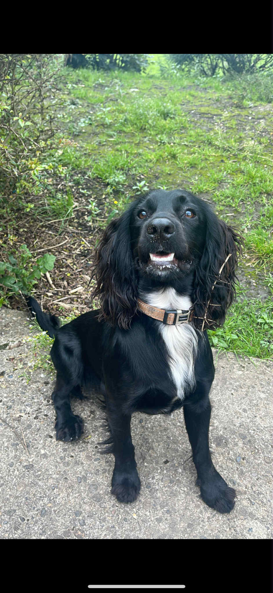 Reading a newspaper realistic picture
