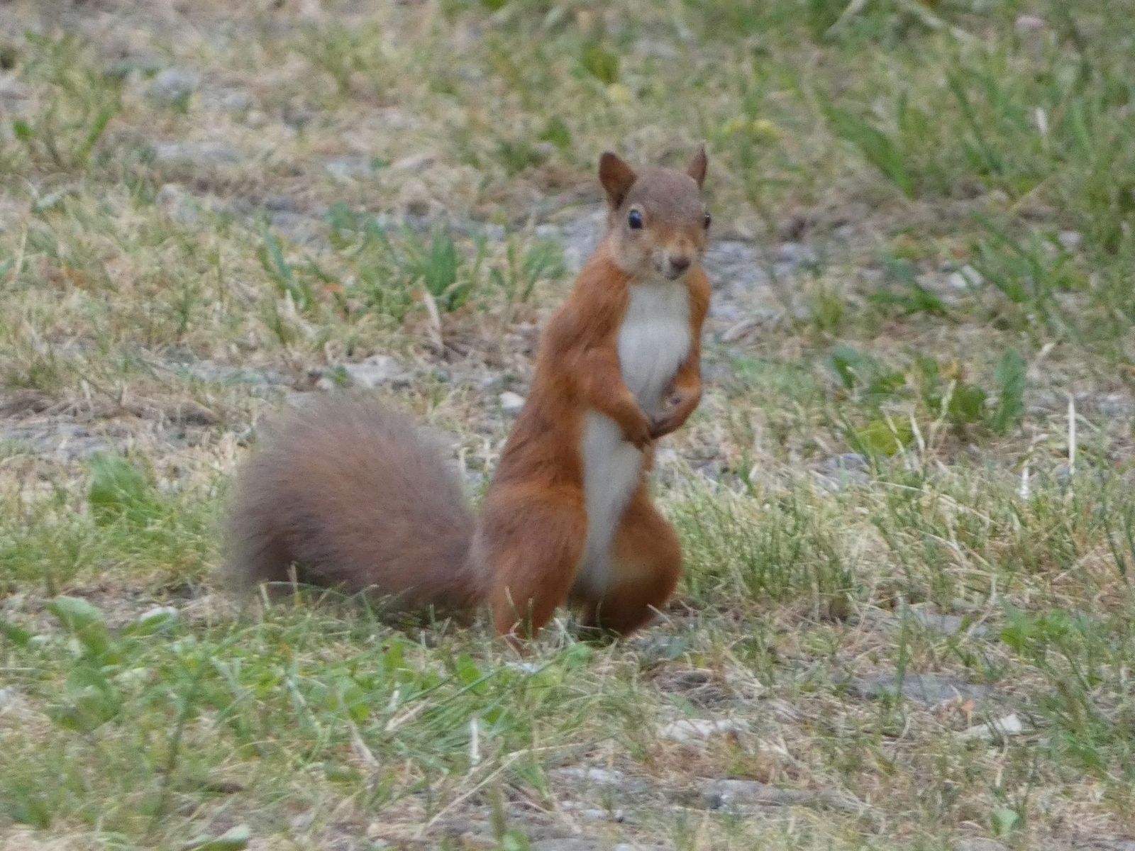 I've got sunshine on a cloudy day
When it's cold outside, I've got the month of May
I guess you'd say
What can make me f...