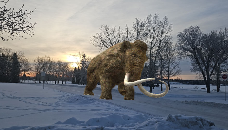 Have me pet this mammoth and let this mammoth pat my head with her trunk and remove the hand off.My head - Start Image 1