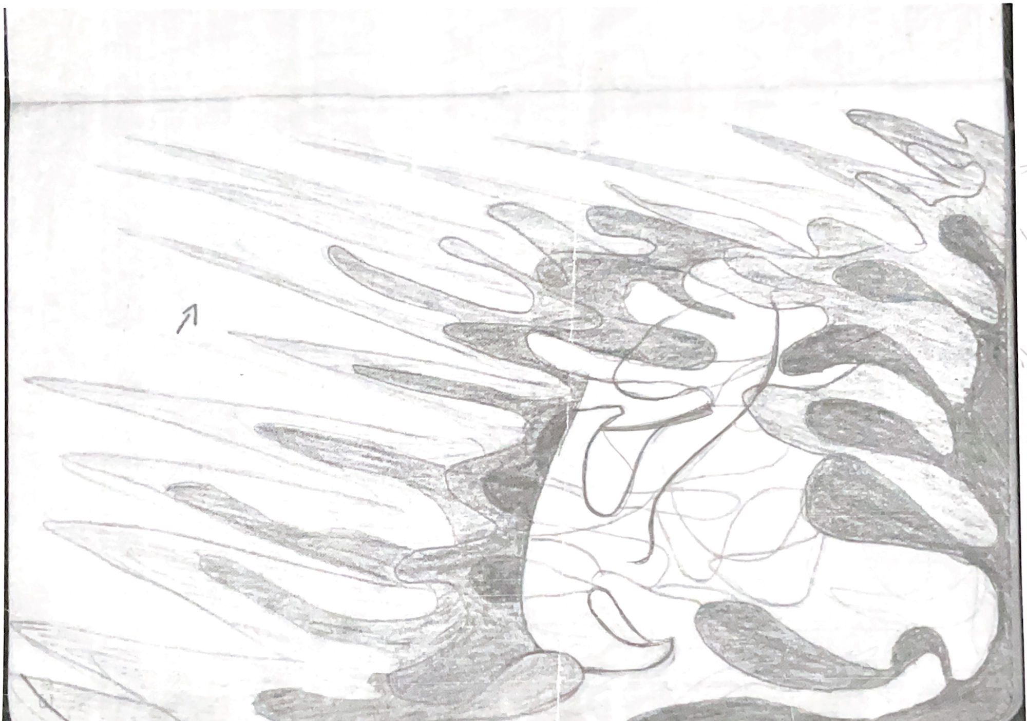 
The coloring of the design should be abstract, the border of the line design, and the colors should be separated and flat
