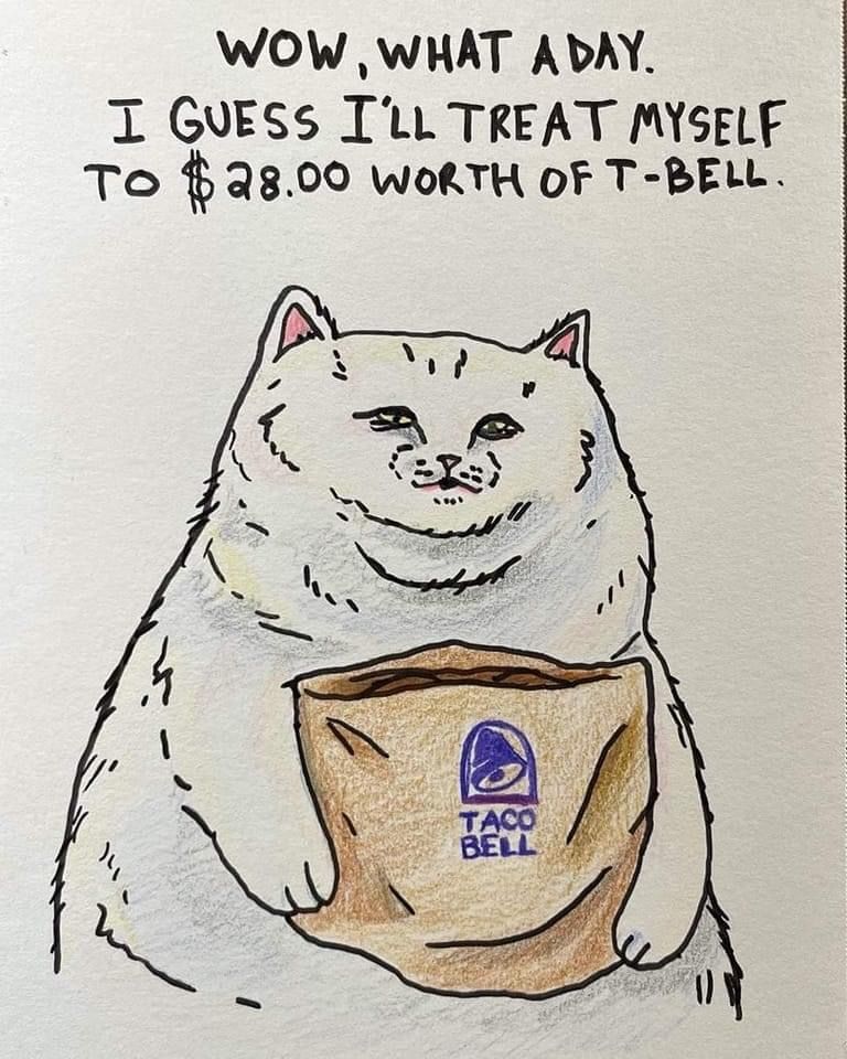 Fat cat fanatic 
