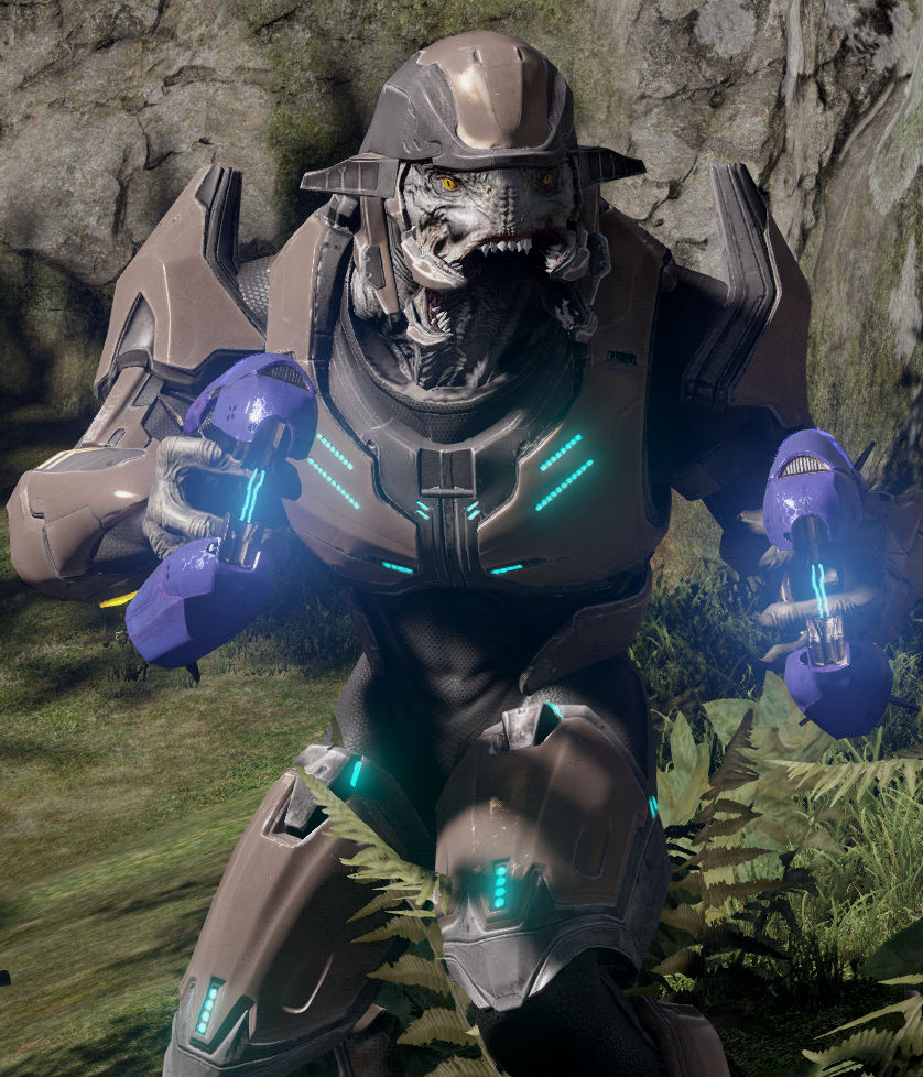 Sangheili Elite 