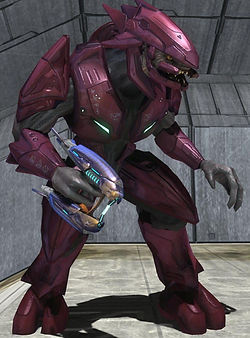 Sangheili Elite 