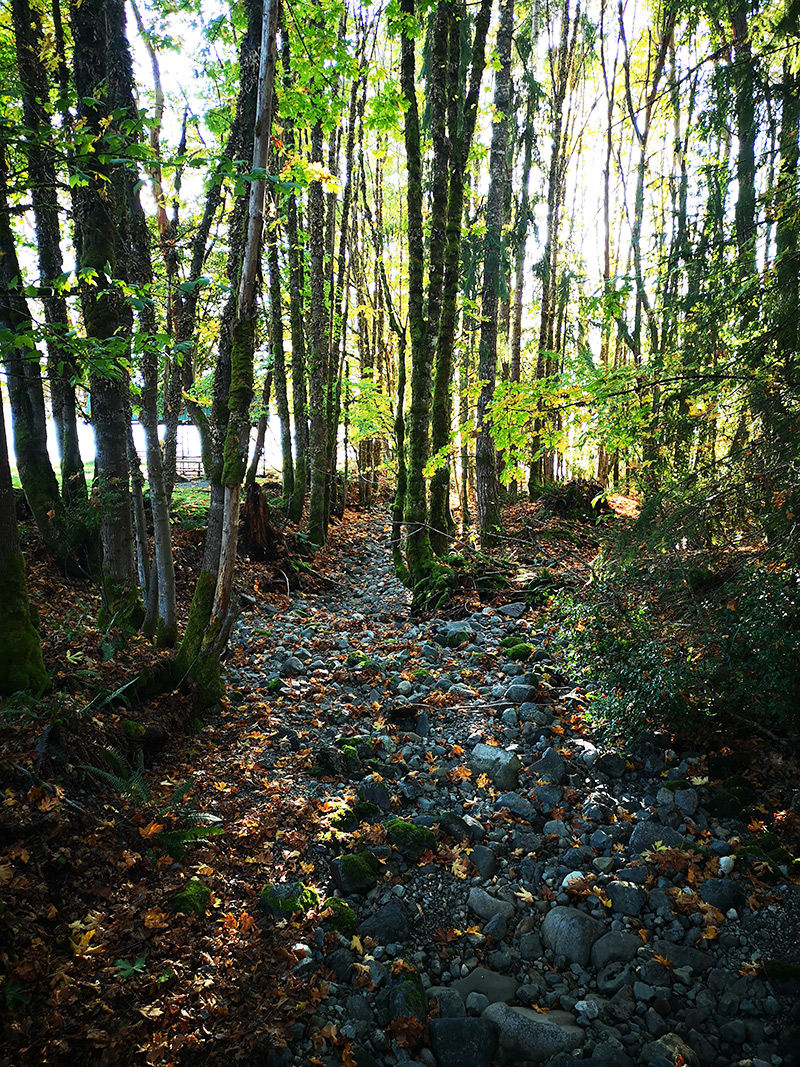 <lora:Sratoscuro:1.0> <lora:PINK CROSS CHURCH:1.0> Trail in forest