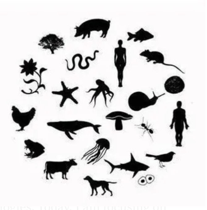 A concept of ecocentric ideology