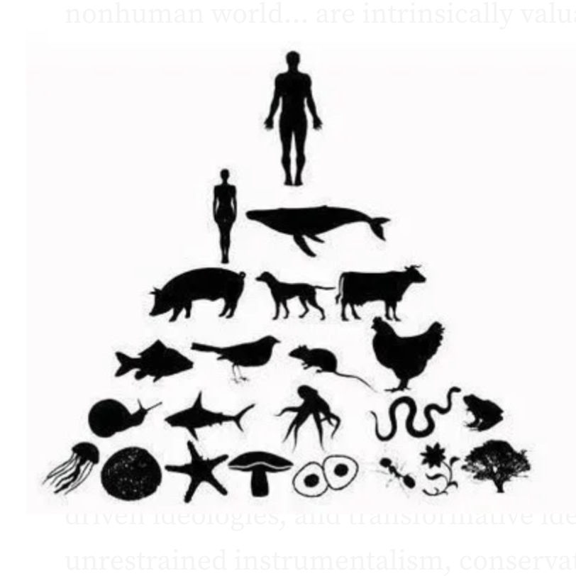 Anthropocentric ideology in a different way