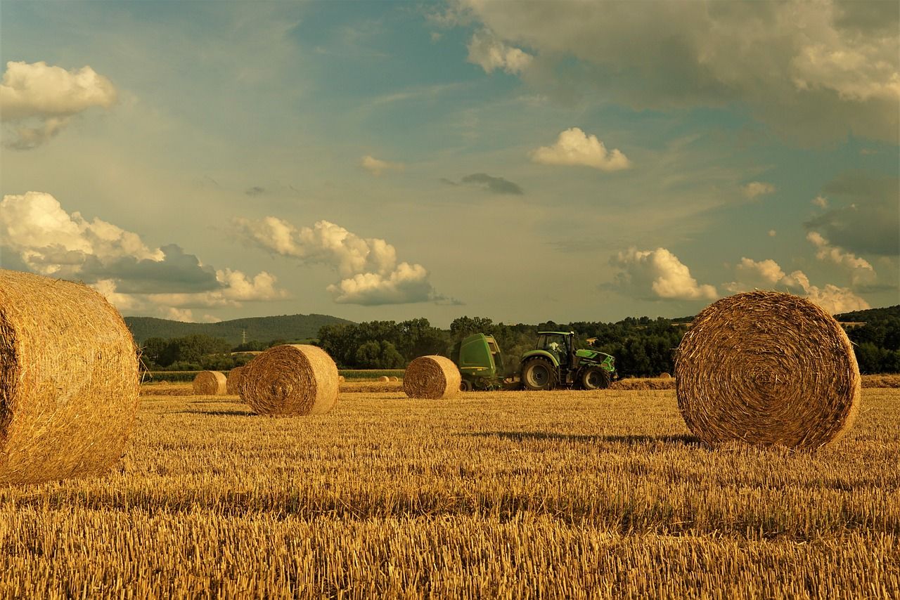 Rural landscape field watercolor abstract vector fractal, wave function, Zentangle, 3d shading vibrant colors Candyland wonderland gouache...