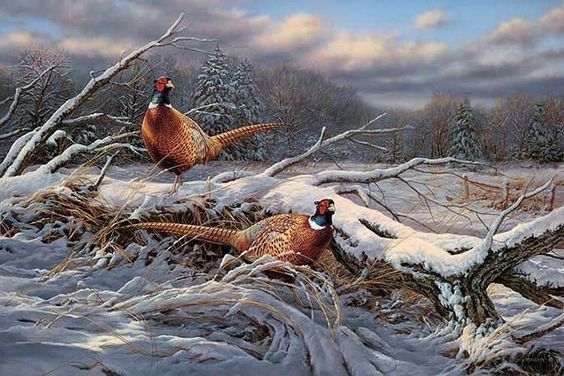 Sunrise, common pheasants , frozen dry plants, long foggy landscape, watercolor 