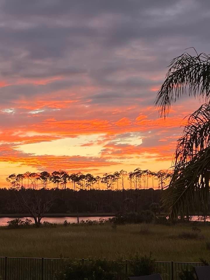 "Breezy Garden Stroll"