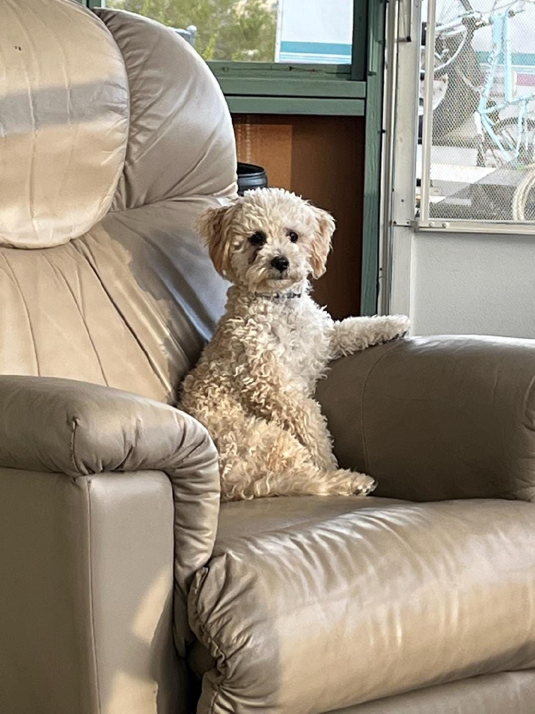 Lord Paul Charles Papp