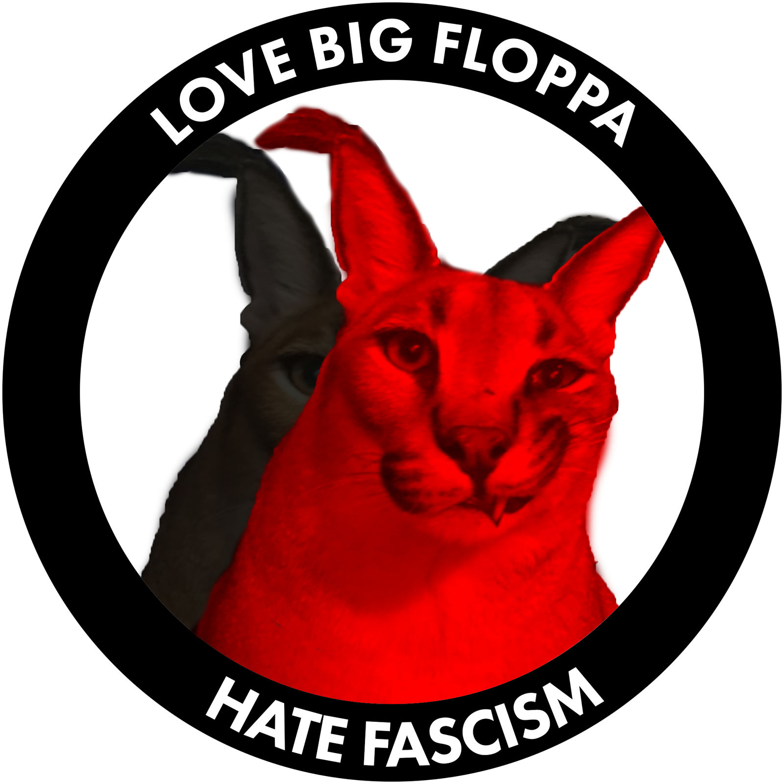 Aerouant_Shinyscales