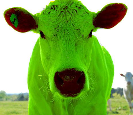 AlienCow